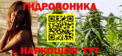 spice Обнинск
