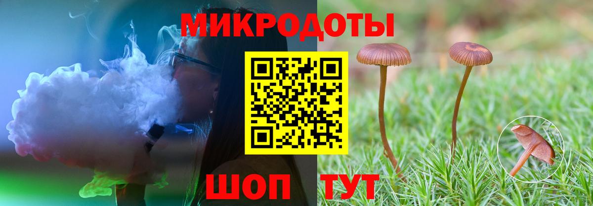 где купить наркоту  Вход с VPN  Будённовск  Псилоцибиновые грибы MAGIC MUSHROOMS 